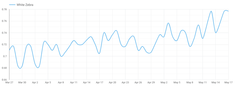 average daily Lighthouse performance score evolution