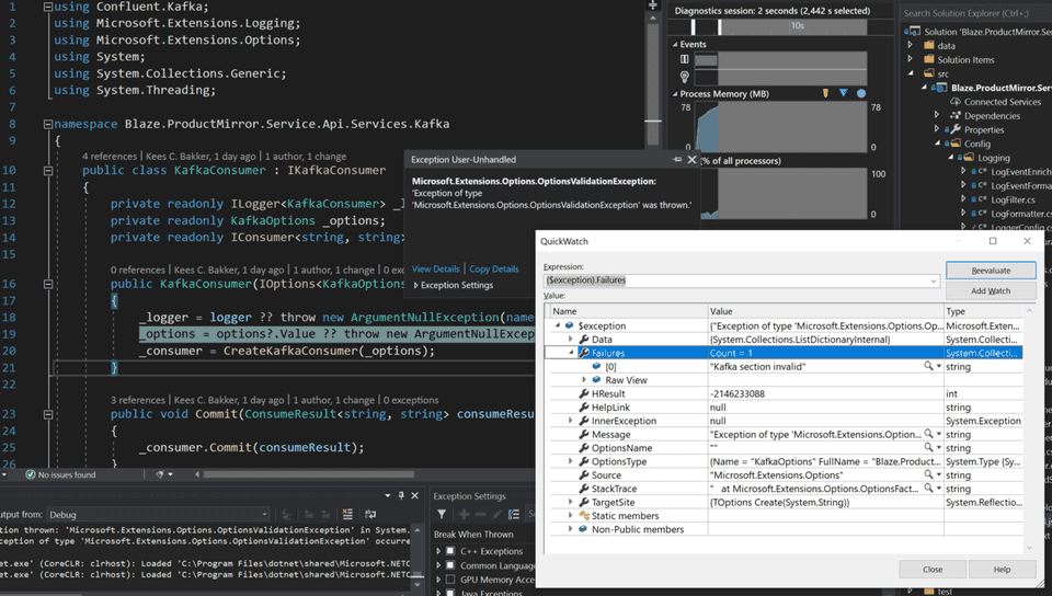 An error is thrown inside the code that tries to use the provided option. It is validated when the valid is accessed.